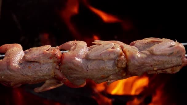 Carcasses de cailles marinées crues sur les longues brochettes — Video