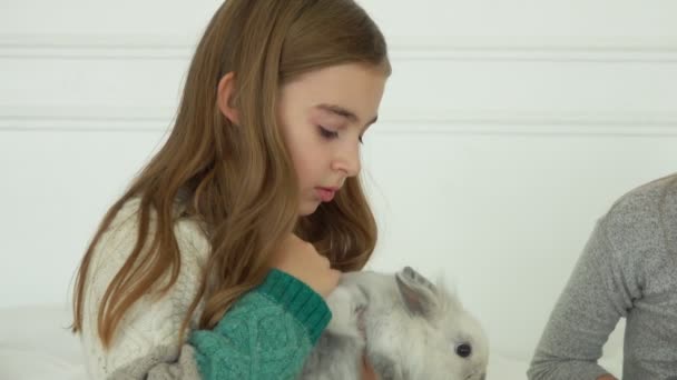Örgü elbiseli mutlu kız sevimli gri tüylü küçük bir tavşanı öpüyor. — Stok video