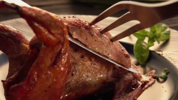 Super vista de cerca de un tenedor tomando un trozo de deliciosa codorniz frita — Vídeos de Stock