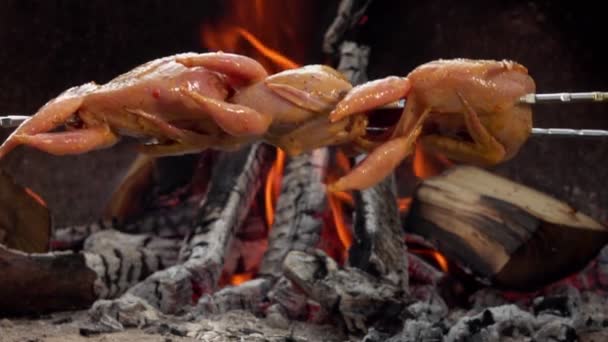 Nahaufnahme von roh marinierten Wachtelkadavern, die über dem offenen Feuer platziert werden — Stockvideo