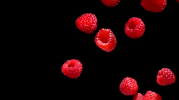 Czerwone dojrzałe soczyste maliny spadają po przekątnej na czarne tło — Wideo stockowe