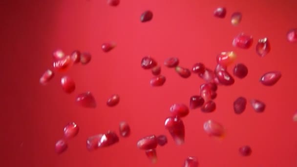Сочные красные зёрна спелого граната скачут на красном фоне — стоковое видео