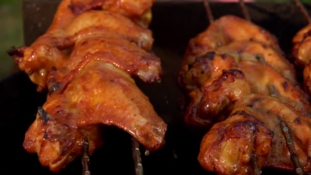 The chicken wings on the skewers are frying and rotating above the open fire — Stock Video