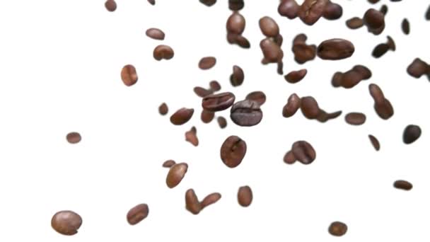 Grãos de café estão voando e girando em um fundo branco — Vídeo de Stock