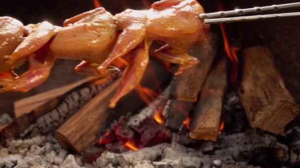 Syrové marinované křepelky na špejli jsou umístěny nad otevřeným ohněm — Stock video