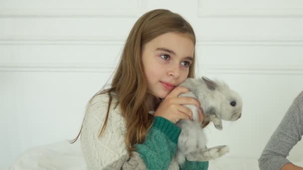 Маленькая девочка в трикотажном платье нежно обнимает милого серого пушистого кролика — стоковое видео
