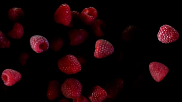 Vue de dessus des framboises mûres volant sur un fond noir au ralenti — Video