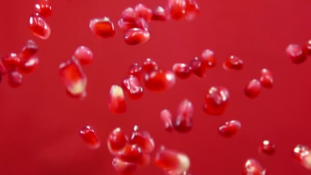 熟したザクロのジューシーな新鮮な穀物は、赤の背景にバウンスしています — ストック動画