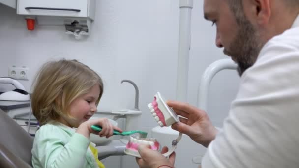 Zubař vysvětluje, jak vyčistit zuby malé roztomilé dívce — Stock video