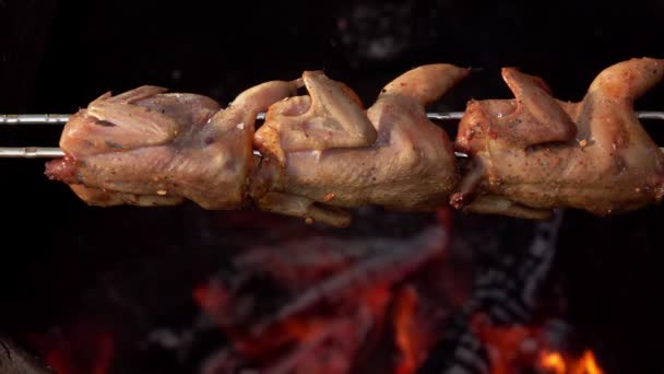 Raw marinated quails on the skewer are rotated above the open fire — Stock Video