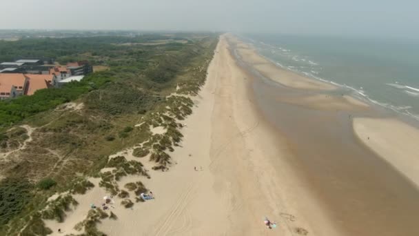 Luchtpanorama van zandige zee kust en zee golven en groen — Stockvideo