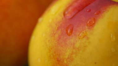Sulu bir nektarin 'in yüzeyinden süzülen bir damla suyun süper yakın çekimi.