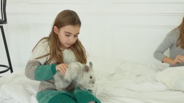 ニットのドレスの陽気な女の子は、灰色のふわふわの小さなウサギを愛撫しています — ストック動画