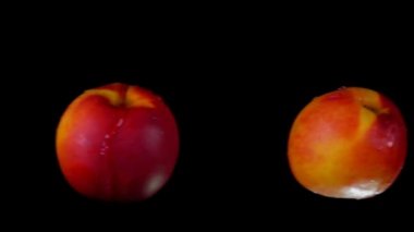 İki olgun lezzetli nektarin birbiriyle çarpışıyor.
