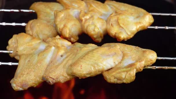 The raw chicken wings on the skewers are roasting above the open fire — Stock Video