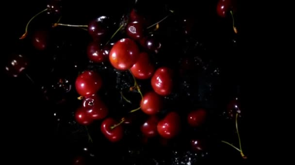 Närbild av de gul-röda körsbär studsar upp med stänk av vatten — Stockvideo