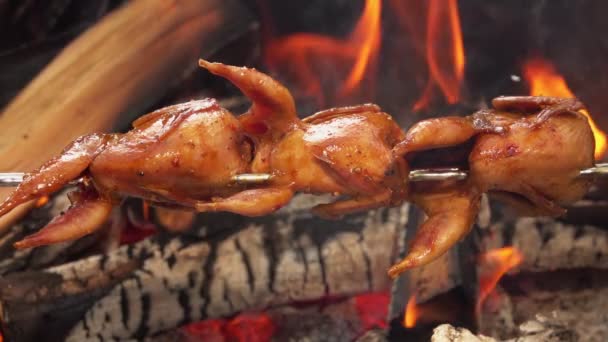 Close-up of delicious juicy quails on the skewer roasting above the open fire — Stock Video