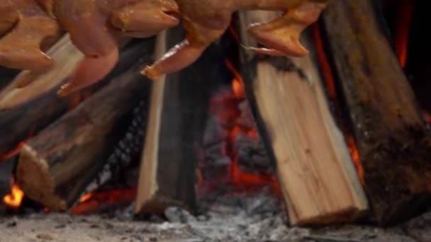 Close-up of raw marinated quails placed in the oven above the open fire — Stock Video