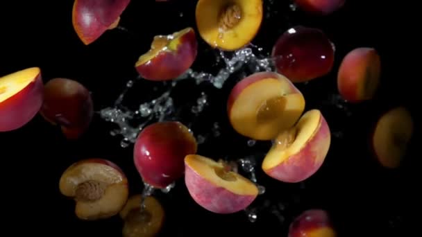 Личинки мокрого персика підстрибують у бризках води на чорному тлі — стокове відео