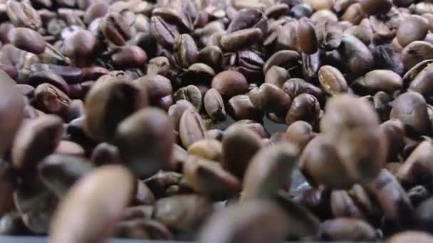 Gros plan sur les grains de café torréfiés qui rebondissent sur la texture du café — Video