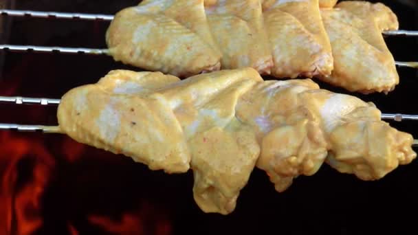 绞架上的腌制鸡翅在篝火上方烤着 — 图库视频影像