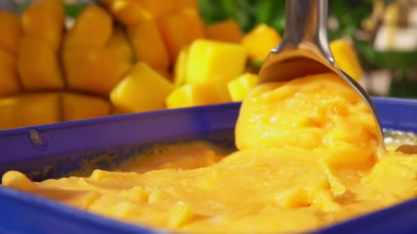 The spoon is scooping frozen mango ice-cream gelato — Stock video