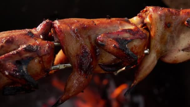 Close-up panorama of the delicious roasted quails on the long skewers — Stock Video