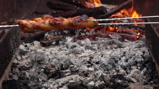 Asas de frango fritas nos espetos estão assando acima do fogo aberto — Vídeo de Stock