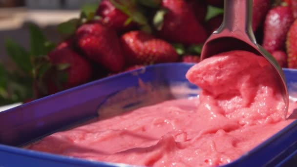 Close-up dari sendok khusus menyendok es krim segar stroberi dingin — Stok Video