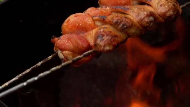 Куриные крылышки на двух шашлыках жарят и жарят над открытым огнем — стоковое видео