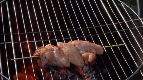 Ahşap şişler üzerindeki çiğ tavuk kanatları ızgara ızgarasına yerleştiriliyor. — Stok video