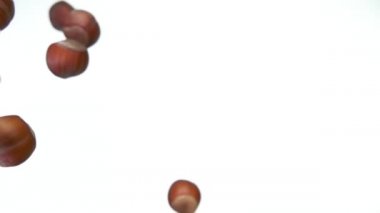 Kabuğu soyulmamış fındıkların beyaz arka plana düşüşü.