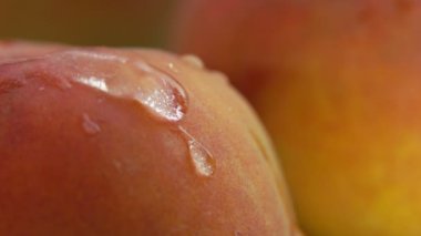 Super close-up of the drop of water flowing down the surface of a juicy peach