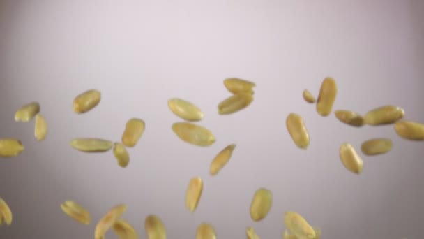 Φλούδες νόστιμα φιστίκια αναπηδούν σε λευκό φόντο — Αρχείο Βίντεο