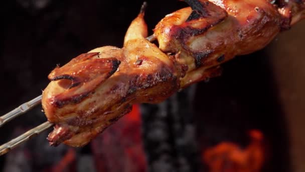 Panorama de deliciosas codornizes no espeto fritando acima do fogo aberto ao ar livre — Vídeo de Stock