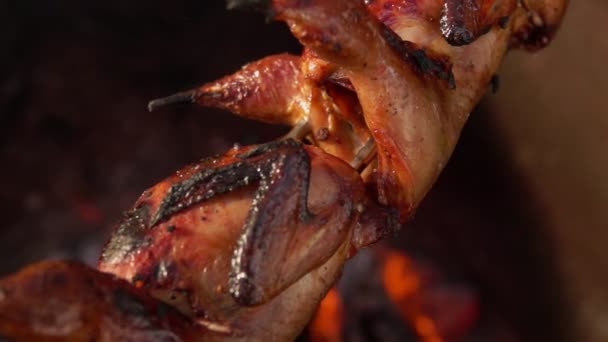 Panorama à mouvement lent des cailles juteuses sur la brochette rôtissant au-dessus du feu ouvert — Video