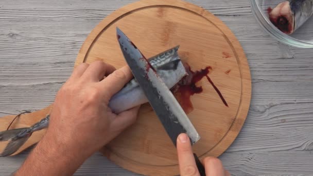 Top view of the male hands starting to clean the mackerel fish on a round board — Stock Video