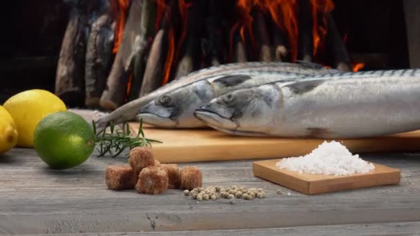 Ingredientes para preparar o peixe cavala na grelha. Limões, açúcar e sal marinho — Vídeo de Stock