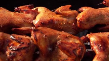 Açık ateşin üstünde kızaran şişte sulu bıldırcın panoraması.