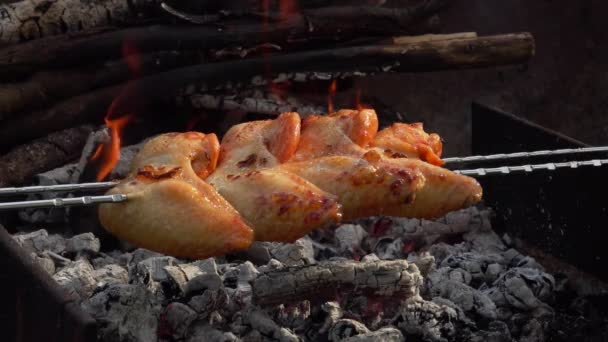 Delicious marinated chicken wings on the skewers are frying above the coals — Stock Video