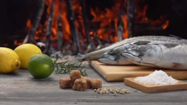 Ingredients for preparing Mackerel fish on the grill on the background of fire — Stock Video