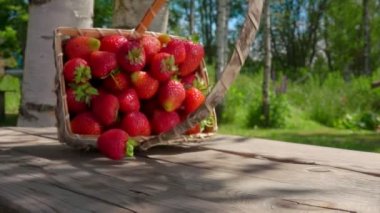 Çilekler masaya düşer ve öne doğru yuvarlanır.