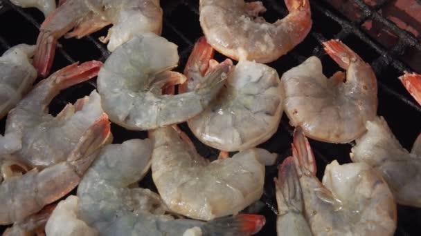 Panorama des grandes crevettes royales crues rôties sur la grille du gril — Video