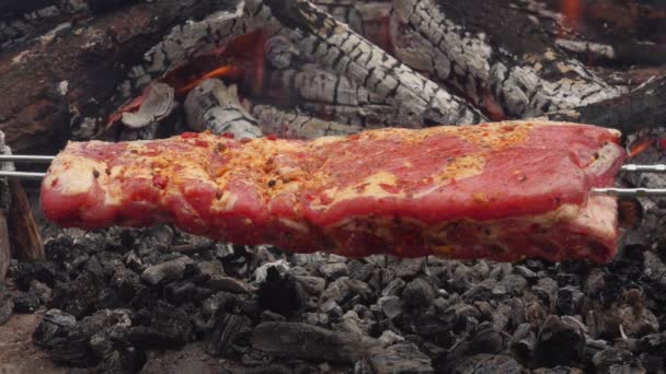 Costillas crudas en los pinchos se tuestan en el fondo del fuego abierto — Vídeo de stock