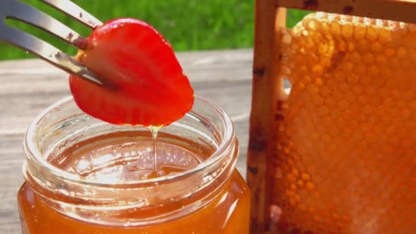 Вилку с вкусной клубникой макают в мед на банку — стоковое видео