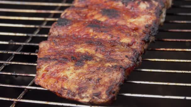 Primer plano de las deliciosas costillas asadas en la rejilla de la parrilla — Vídeos de Stock