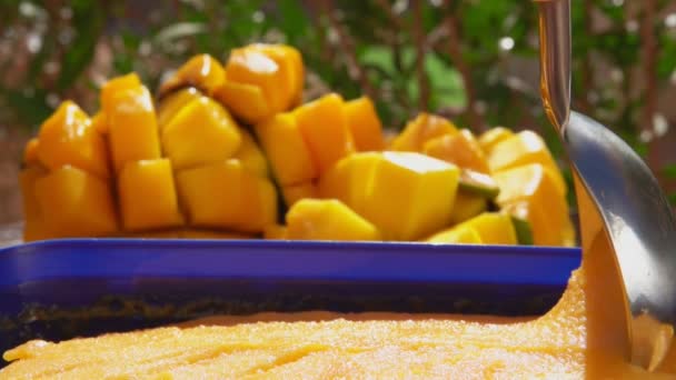Łyżka zbiera pyszne mrożone lody mango gelato — Wideo stockowe
