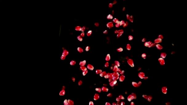 Granatapfelkörner prallen auf dem schwarzen Hintergrund auf Videoclip