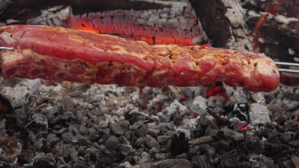 Saftige rohe Rippen am Spieß werden über dem offenen Feuer platziert — Stockvideo