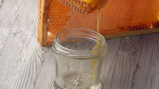 Close-up of the fresh honey flowing into the glass jar from the honeycombs — Stock Video